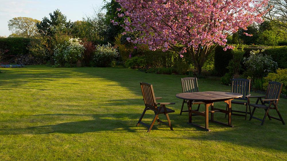 How to Manage Your Lawn in Late Summer